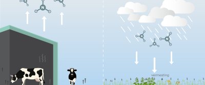 Ammoniakemissie en -depositie uitgelegd