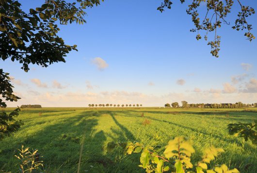 Commissie Bemesting Grasland en Voedergewassen