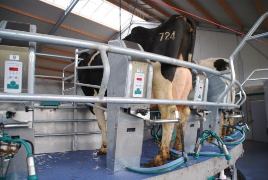 Nederland kent hoge producten van melk Nederland kent hoge producten van melk