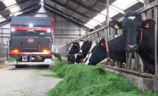 Vervolgens wordt het verse gras voor de koeien gedraaid.