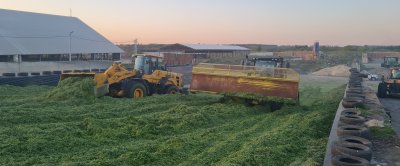 Kuilen op de boerderij