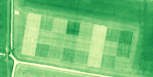 Afbeelding 1. Bovenaanzicht van het proefveld op Dairy Campus beeld van het proefveld dat genomen is met een <L CODE="C12">eBee</L>, een drone van loonwerker Christel Thijssen die uitgerust is met een multispectrale camera voor het meten van biomassa. Afbeelding 1. Bovenaanzicht van het proefveld op Dairy Campus beeld van het proefveld dat genomen is met een <L CODE="C12">eBee</L>, een drone van loonwerker Christel Thijssen die uitgerust is met een multispectrale camera voor het meten van biomassa.