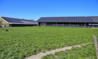 Zonnepanelen op de stal