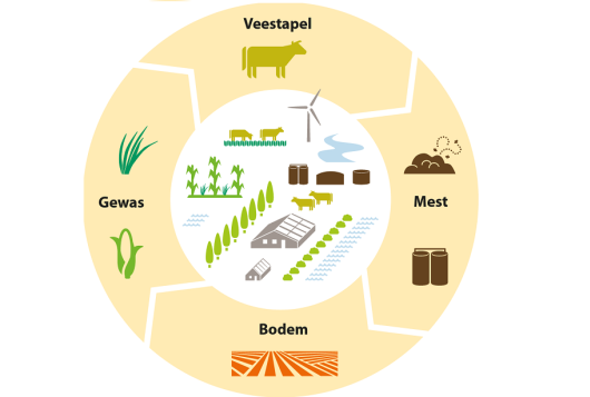 Presentaties KringloopWijzer