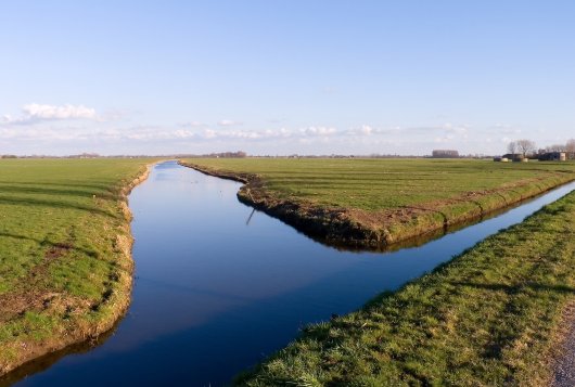 Voorkom oppervlakkige afspoeling naar de sloot_koeien&kansen