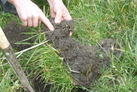 Duurzame verwerking grondstromen binnen de landbouw