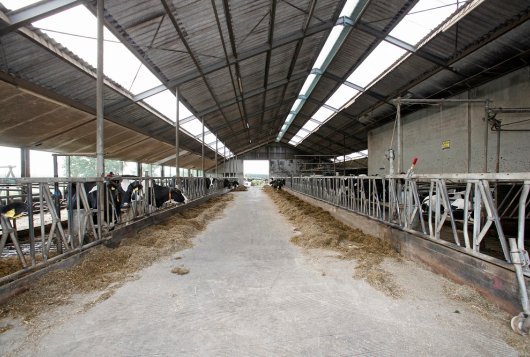 De eerste 10 procent van de maatregelen levert geld op broeikasgassen_Koeien&Kansen_mijnkringloopwijzer