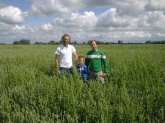 Het Engels raaigras met witte en rode klaver met als dekvrucht tarwe leverde eind juni een goede opbrengst op. Het Engels raaigras met witte en rode klaver met als dekvrucht tarwe leverde eind juni een goede opbrengst op.