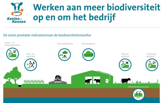 Klik op de afbeelding en download de infographic over biodiversiteit