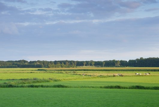 Verdeel mest slim over percelen bij lagere giften_Bemestingsadvies
