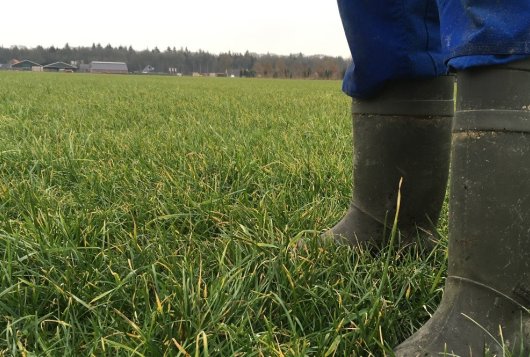 Focus ook in extreem jaar op benutting eiwit van eigen land Focus ook in extreem jaar op benutting eiwit van eigen land