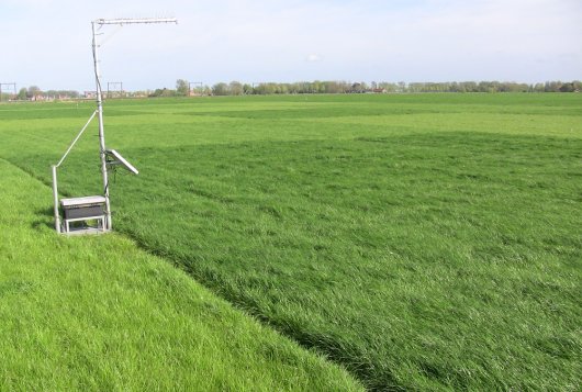 Het meten of voorspellen van grasgroei