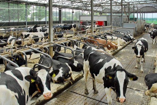 Rapport met geactualiseerde rekenregels KringloopWijzer 2018