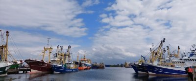 Onderzoekers van Wageningen Marine Research schatten dat Nederland nog ruim 30 grote boomkorkotters heeft.