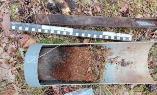 Monster in een grove-dennenbos