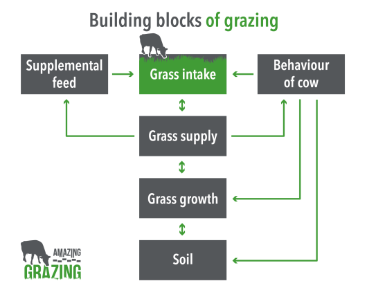 Amazing Grazing