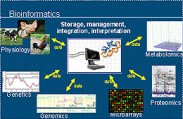 Bioinformatics.jpg Bioinformatics.jpg