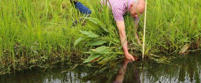 Het bedrijf van De Vries ligt op drassige veengronden. Hier controleert hij de onderwaterdrainage..