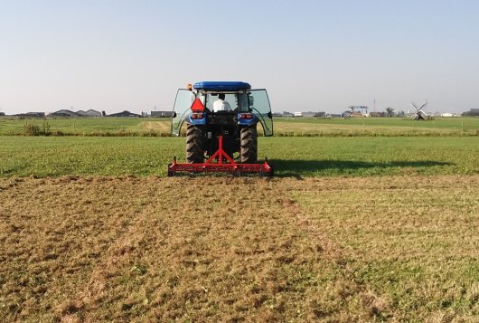 Hogere opbrengst eerste snede na eggen blijvend grasland