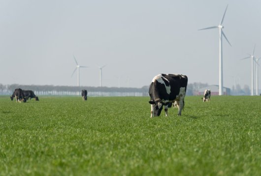 Duurzame Zuivelketen boekt vooruitgang op veel thema’s in 2017_zuivelNLprojecten